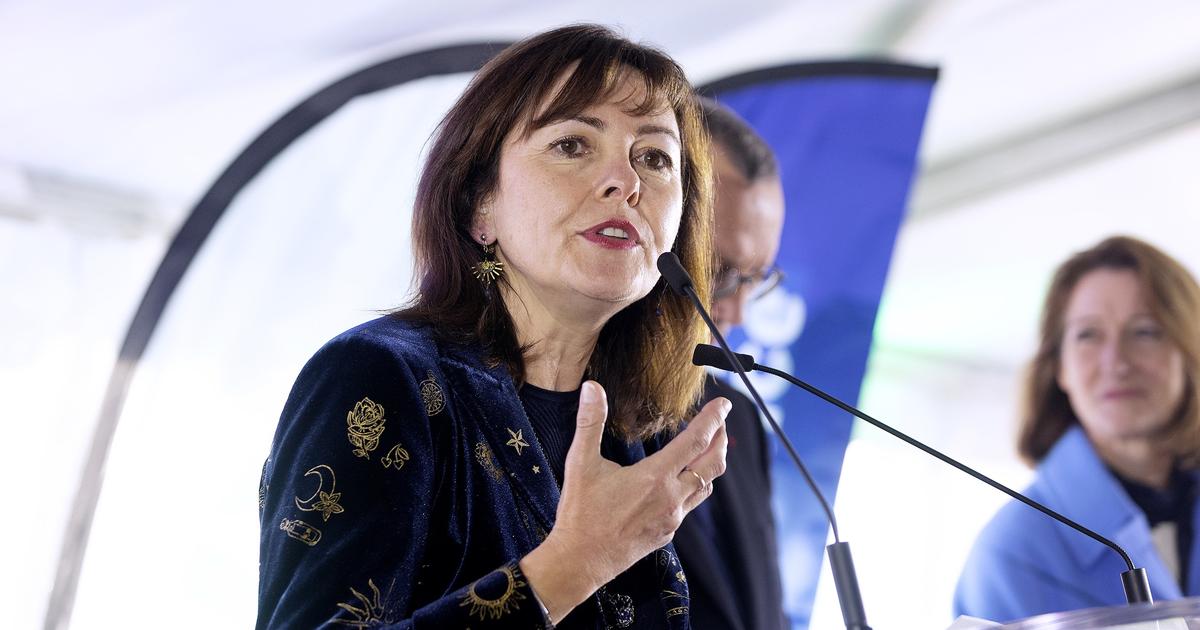 Dermatose: la prÃ©sidente de la rÃ©gion Occitanie Carole Delga en appelle Ã  SÃ©bastien...