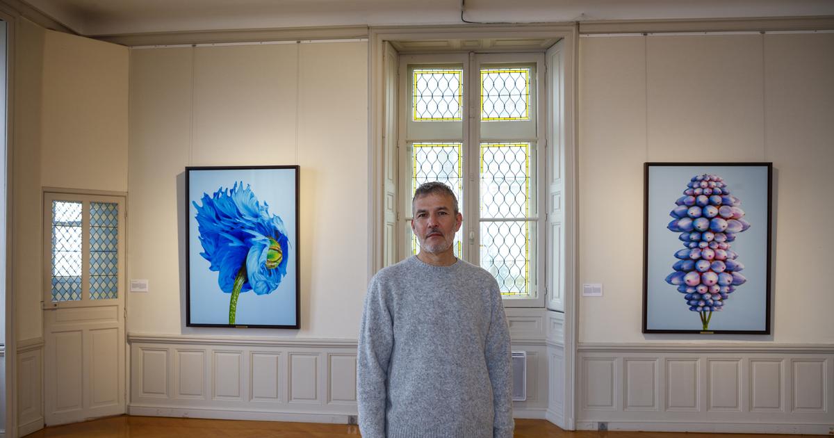 À Chaumont-sur-Loire, les photographes réinventent la nature en peintres et en savants fous