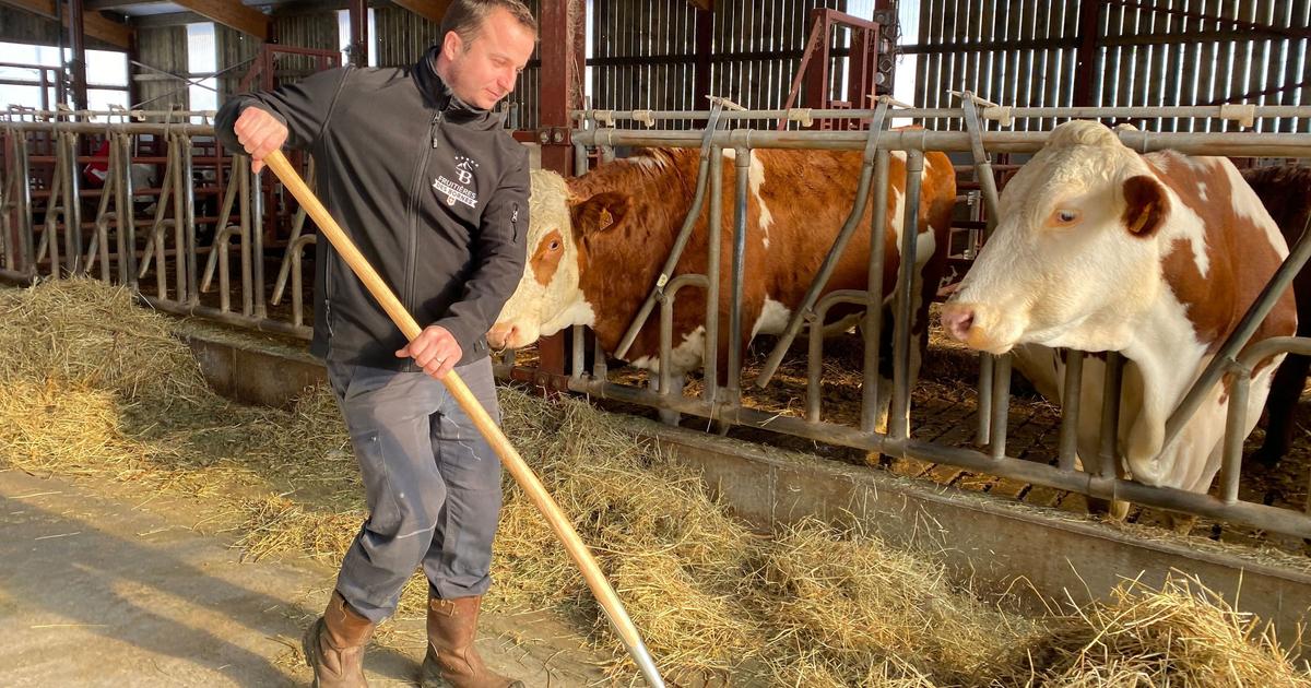 «On ressemble un peu au petit village gaulois qui continue de résister» : en Haute-Savoie, le reblochon au cœur d’une guerre d’indépendance