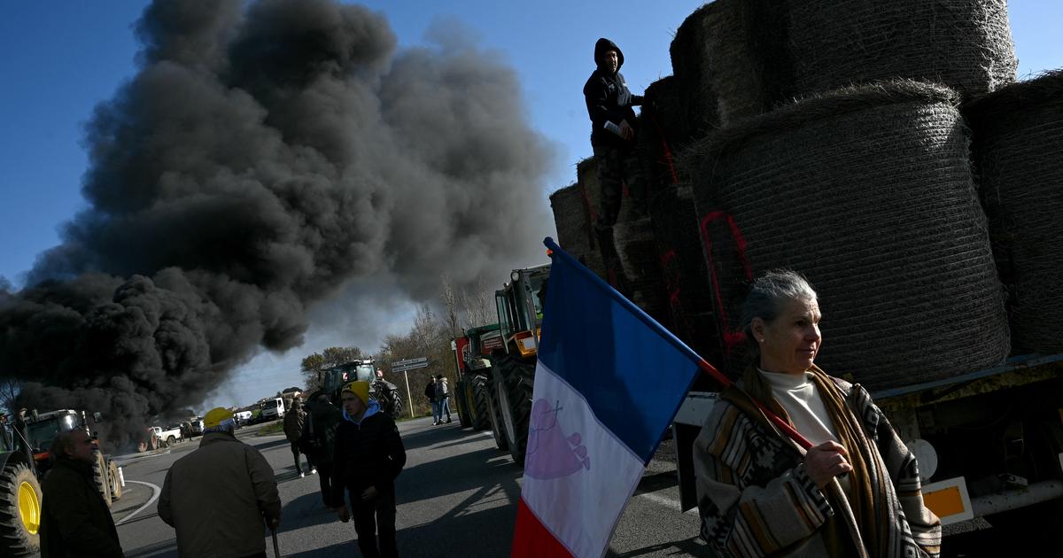 Les syndicats agricoles tentent le tout pour le tout pour empêcher l’adoption du Mercosur