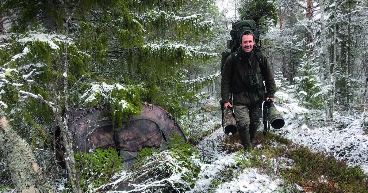 Vincent Munier, réalisateur du Chant des forêts : «Ce film met le spectateur à contribution en l’invitant à réveiller les sens»