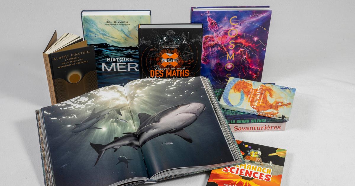Physique, mathématiques, astronomie, biologie… Ces beaux livres à mettre sous le sapin pour voyager au cœur des sciences