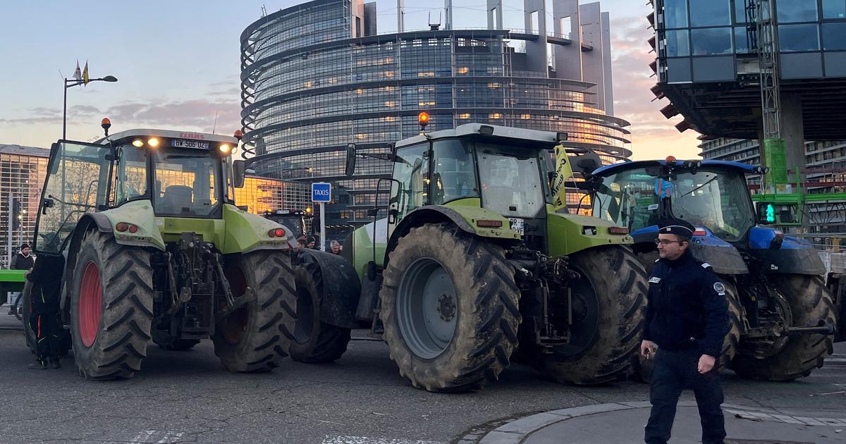 Farmers Protest Brussels: 40+ European Groups Against Mercosur Deal