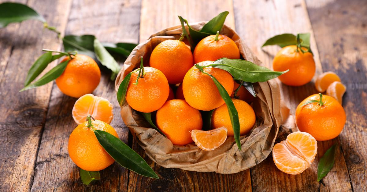 La clémentine corse, un fruit centenaire au goût unique pour les tables du réveillon du Nouvel An