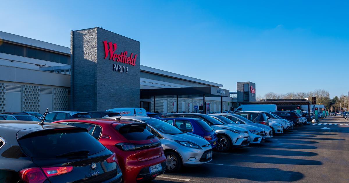 «Ils sont devenus des lieux de socialisation» : les centres commerciaux, grands gagnants des politiques antivoiture