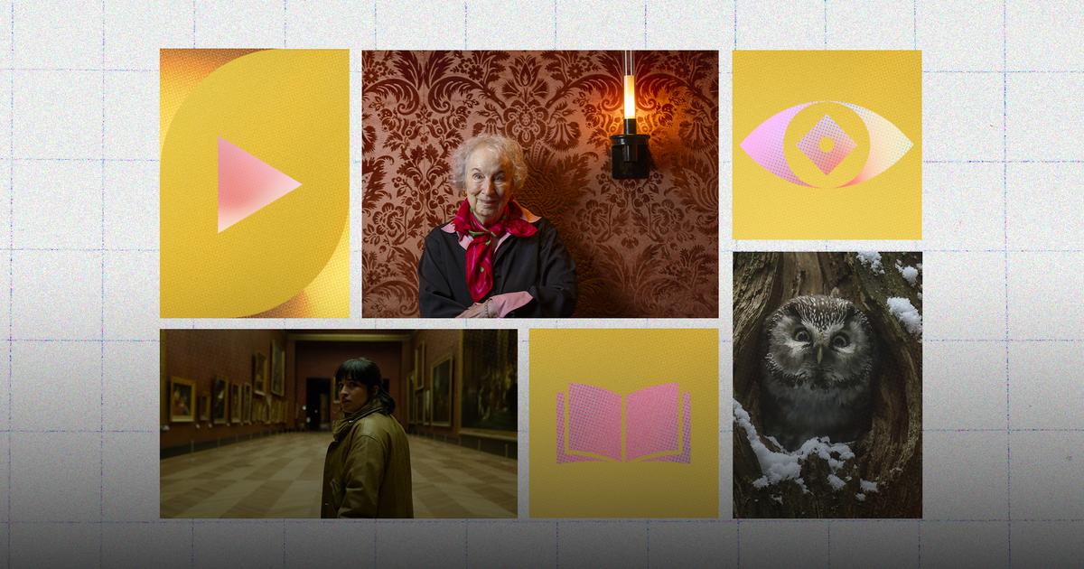 Que faire ce week-endÂ ? Lire Margaret Atwood, voir Le Chant des forÃªts au cinÃ©maâ€¦...