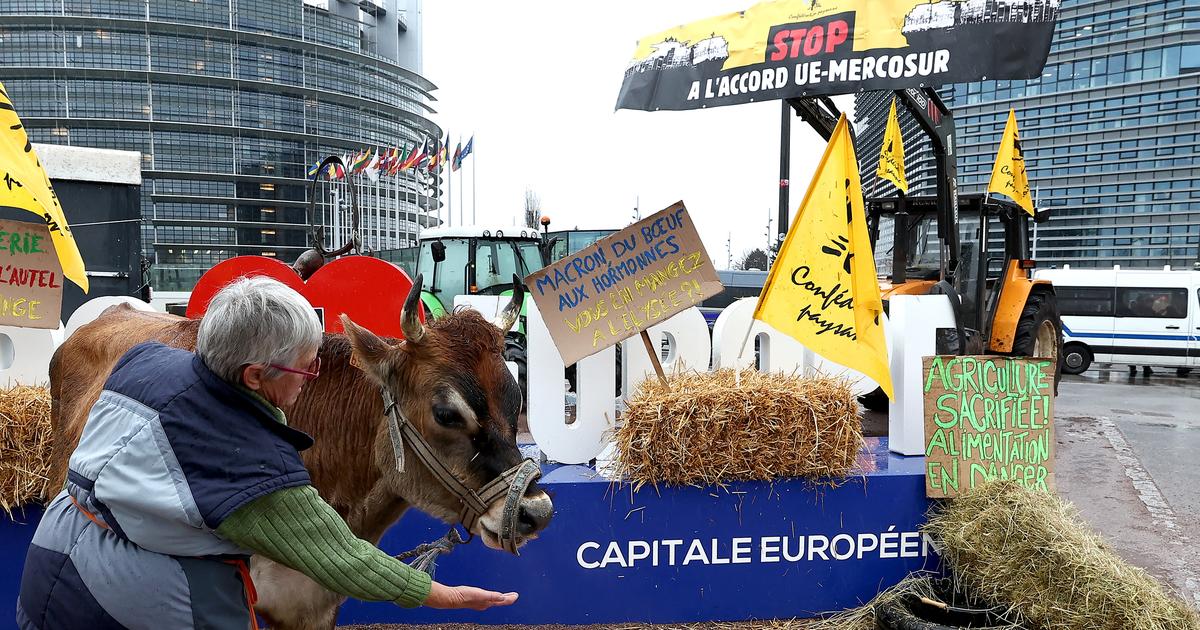 Guillaume Tabard : «Avec le report de l’accord UE-Mercosur, Emmanuel Macron soulagé, le macronisme corrigé»