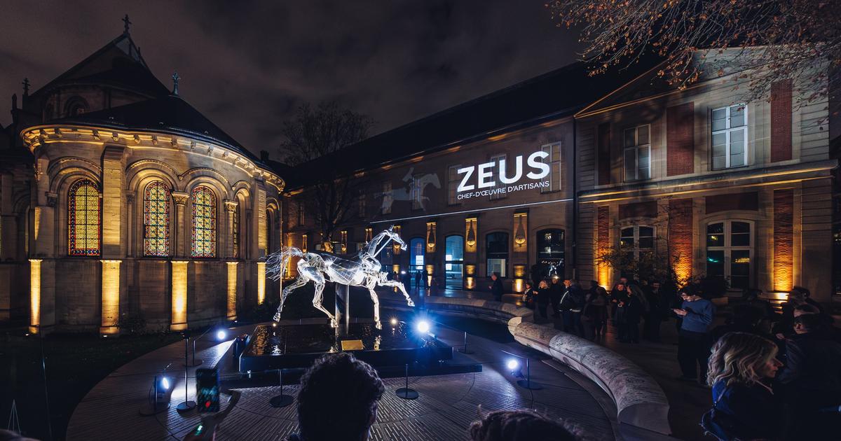 « Il y a une véritable affection pour Zeus » : le cheval des JO exposé pour un an au musée des Arts et Métiers