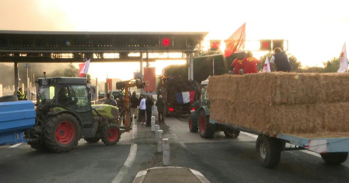 ColÃ¨re agricole : les appels Ã  la Â«trÃªve de NoÃ«lÂ» se multiplient