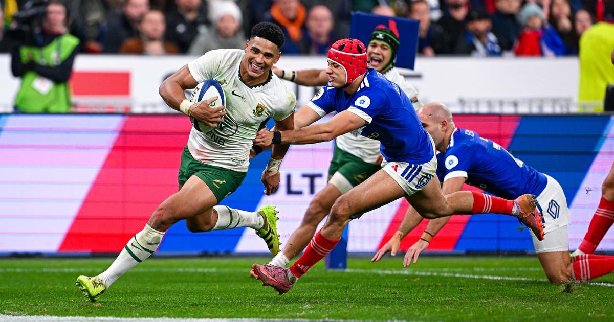 Rugby : fin du suspense... Feinberg-Mngomezulu, la pépite des Springboks, prolonge avec les Stormers du Cap