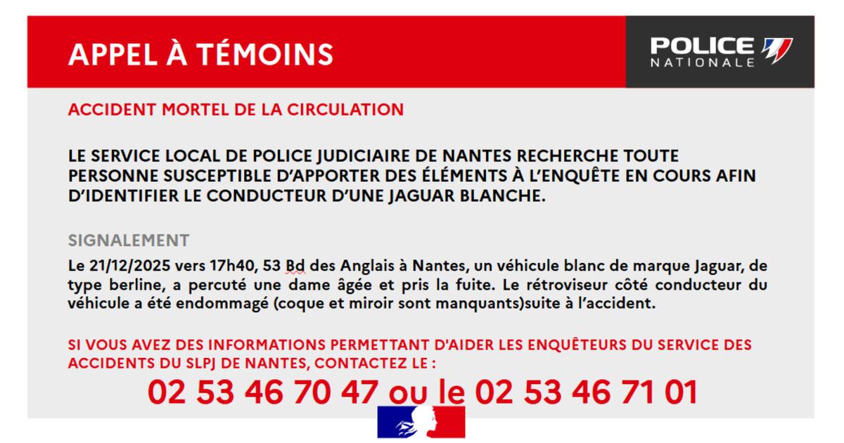 Une femme de 85 ans meurt après avoir été renversée par une Jaguar à Nantes, l'automobiliste toujours en fuite