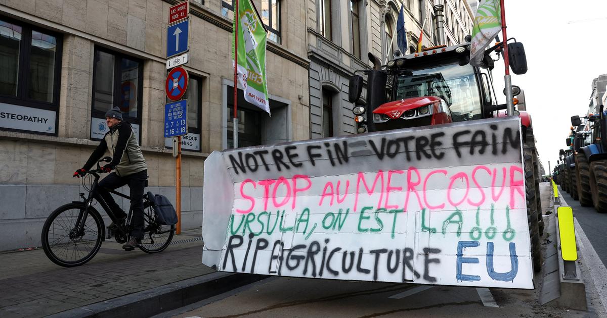 «La souveraineté alimentaire n’est plus négociable : la justice doit enterrer le Mercosur»