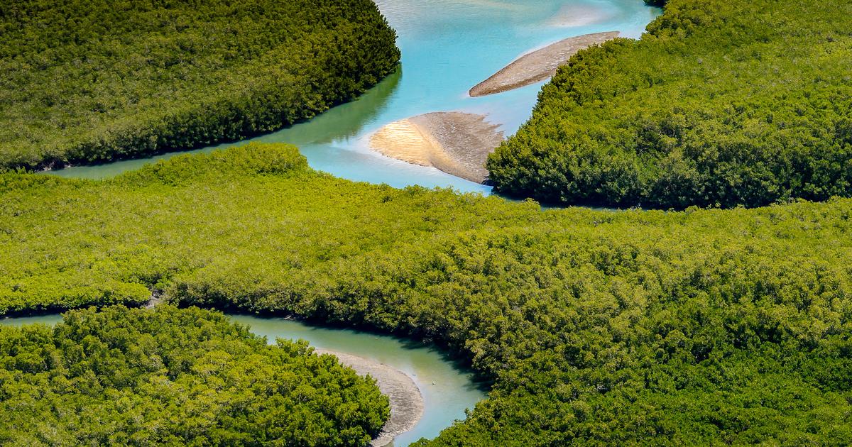 «Chaque année nous perdons jusqu’à 2 mètres de plage» : en Afrique, l'avancée de la mer menace le magnifique archipel des Bijagos
