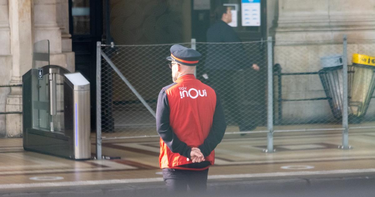 «Un événement extrêmement rare» : un rapport éclaire les circonstances du suicide d’un conducteur de TGV le 24 décembre 2024