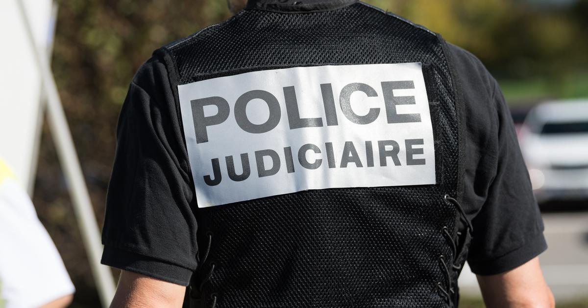 Poupées sexuelles enfantines : enquête ouverte à Paris visant un site britannique