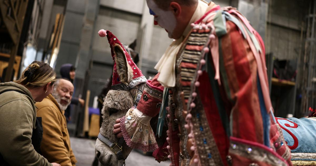 « Elle est fabuleuse » : sur la scène du Met Opera, la nouvelle diva est une ânesse