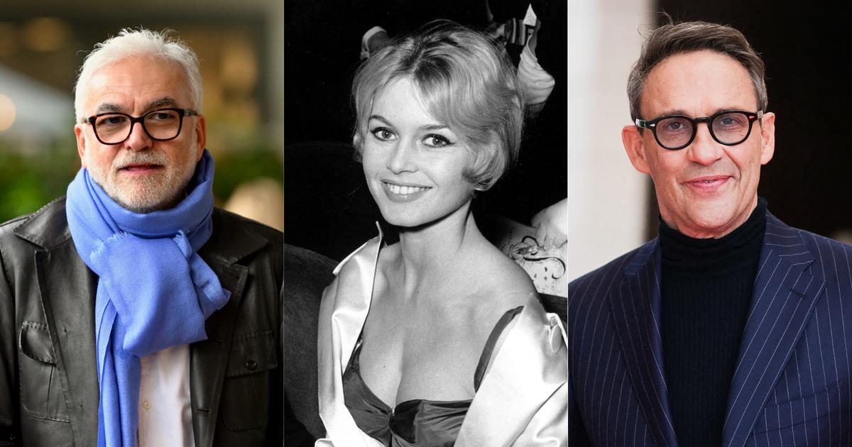 Mort de Brigitte Bardot : Pascal Praud, Julien Courbet... Les stars télé rendent hommage à Brigitte Bardot