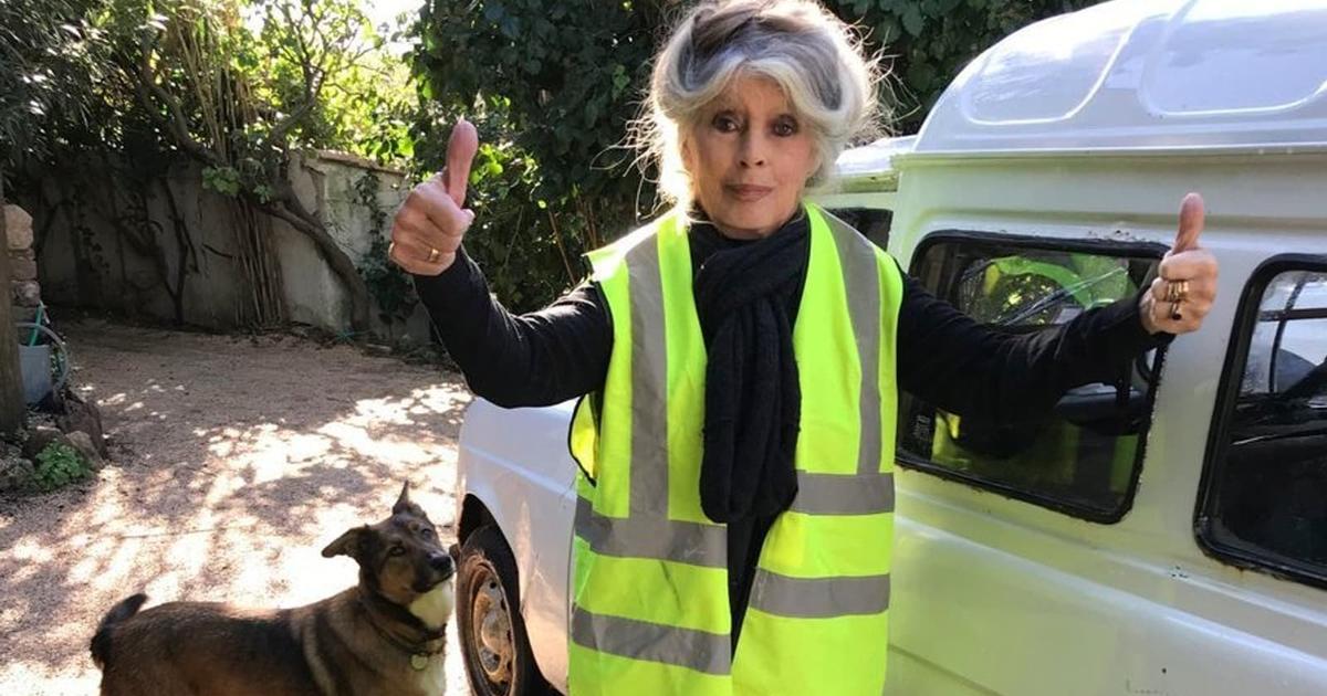 Brigitte Bardot : l’histoire déchirante de la Renault 4L qu’elle ne voulait plus conduire