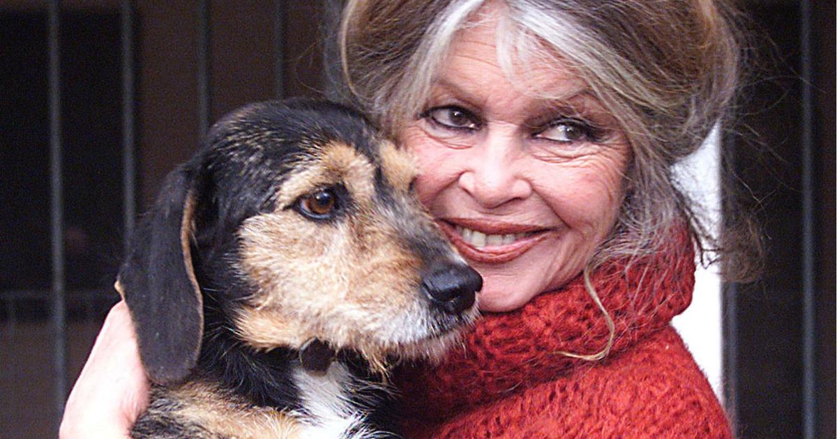 Brigitte Bardot, une seconde vie au service de la cause animale