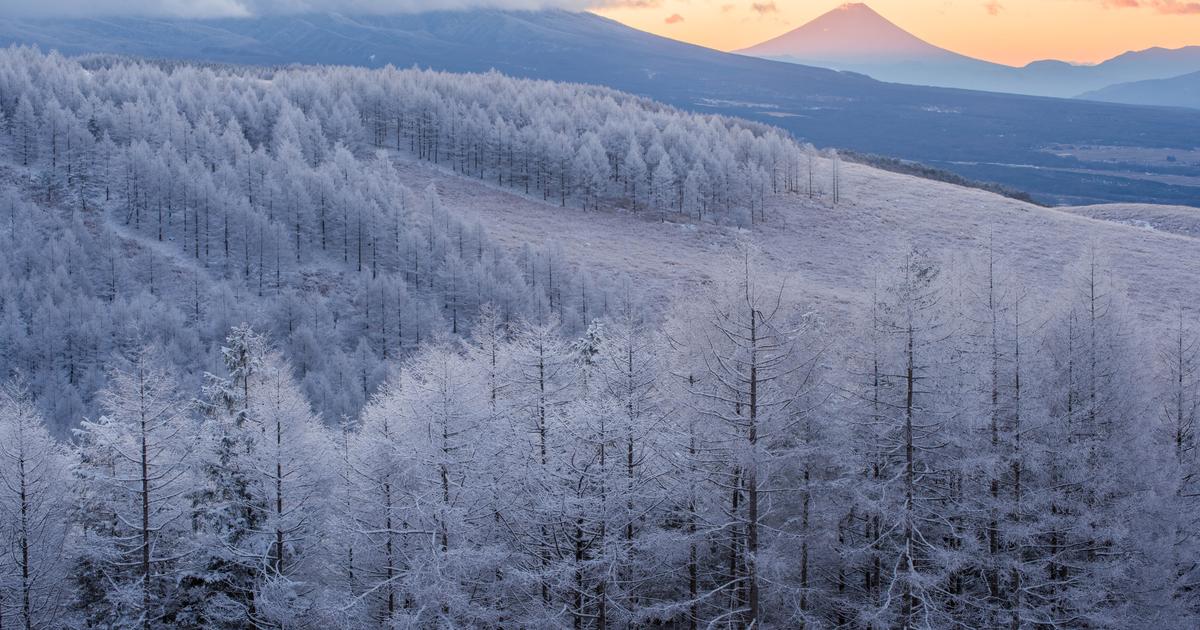 Températures négatives, épisode neigeux en plaine : un froid durable va gagner la France pour le début d’année 2026