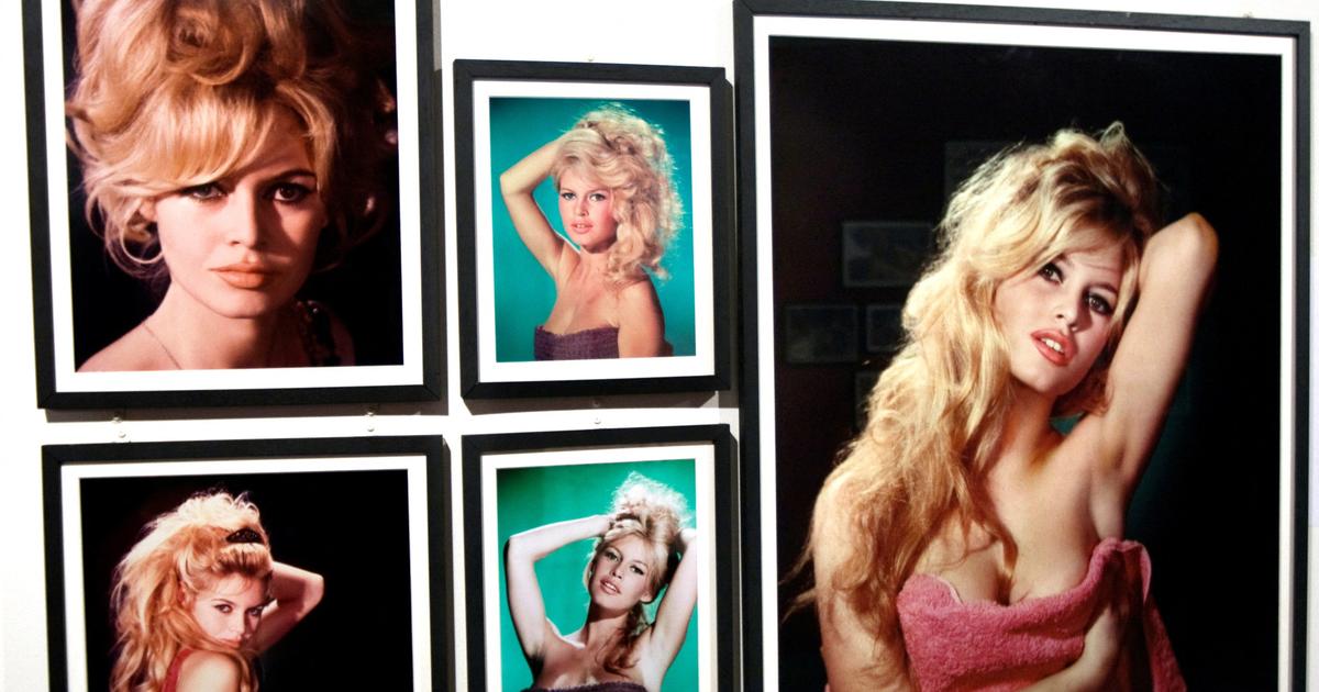 Fabrice Gaignault : « La présence de Brigitte Bardot suffisait à anéantir toute trace de vie terrestre autour d’elle »