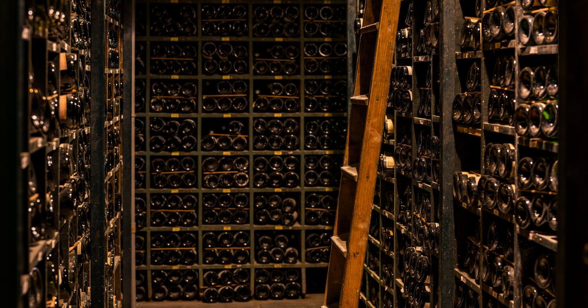 « Notre bible compte 300.000 bouteilles » : visite d’une des plus belles caves au monde à La Tour d’Argent