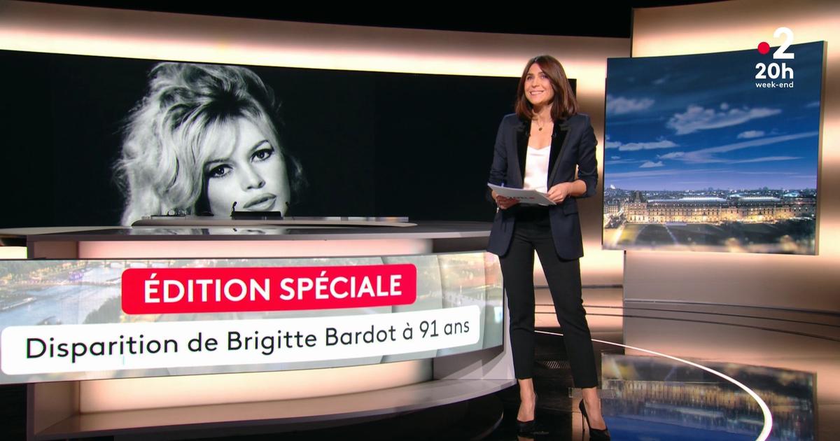 Bardot, Ardisson, Hallyday : quand les chaînes de télévision anticipent la mort...