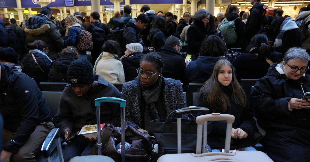 «Je n’ai même pas où dormir ce soir» : ces Français bloqués à Londres par les perturbations du tunnel sous la Manche