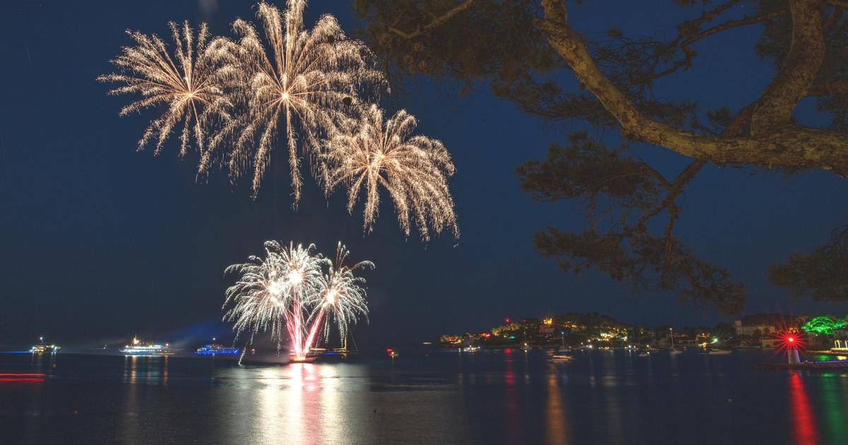Allemagne : un Nouvel An à l'aéroport pour protéger les animaux des feux d'artifice