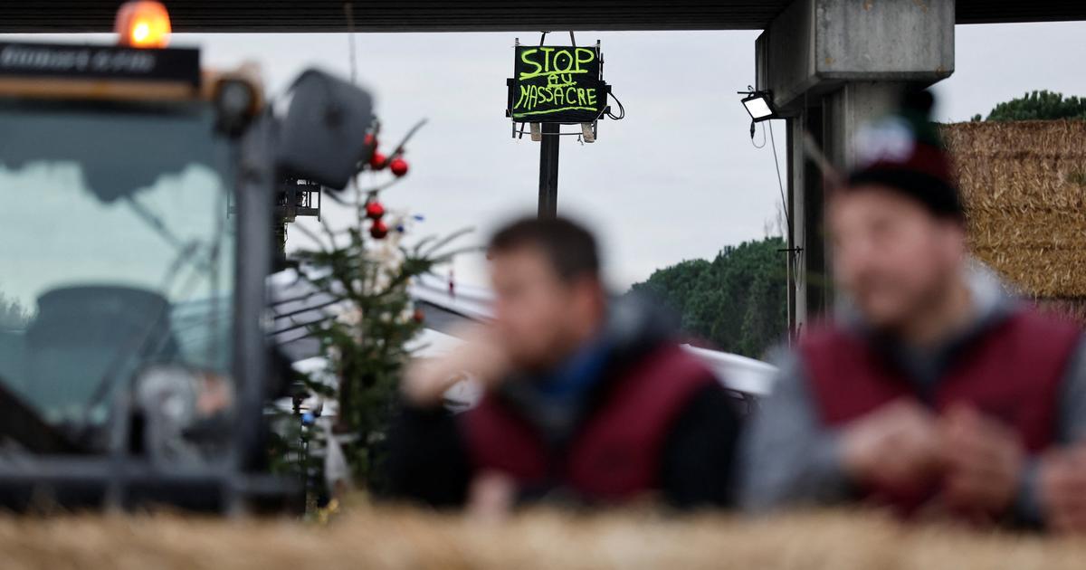 «On a des producteurs qui crèvent» : nouvelles actions d’agriculteurs en Occitanie, le blocage de l'A64 persiste