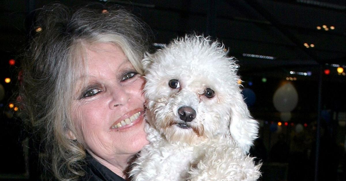 Brigitte Bardot s’en est allée, qui pour reprendre la tête de sa fondation ? Un de ses proches a un avis bien tranché