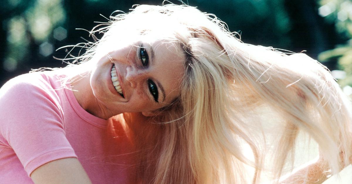 «Elle te choisit ou ne te choisit pas» : un ex-journaliste de France 2 révèle sa relation avec Brigitte Bardot