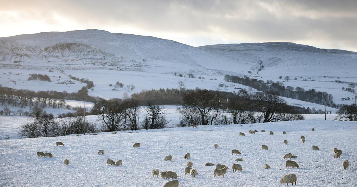 Météo : alerte Grand froid dans l’Est, de la neige et du verglas dans le Nord