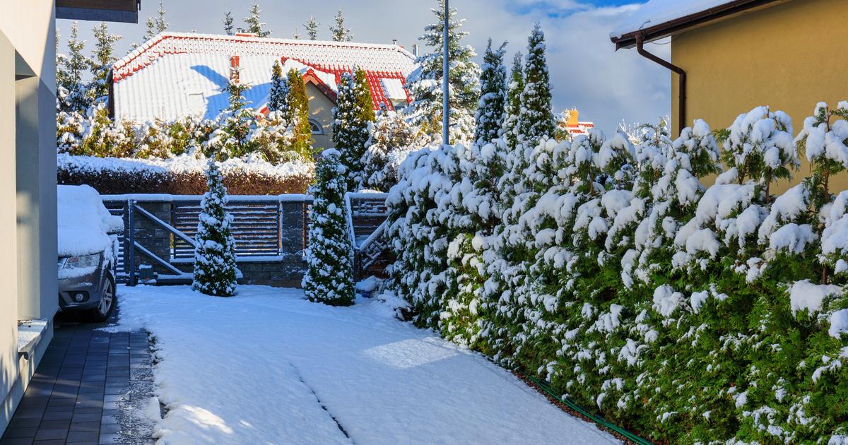 Neige et verglas : que faire sans sel de déneigement ?