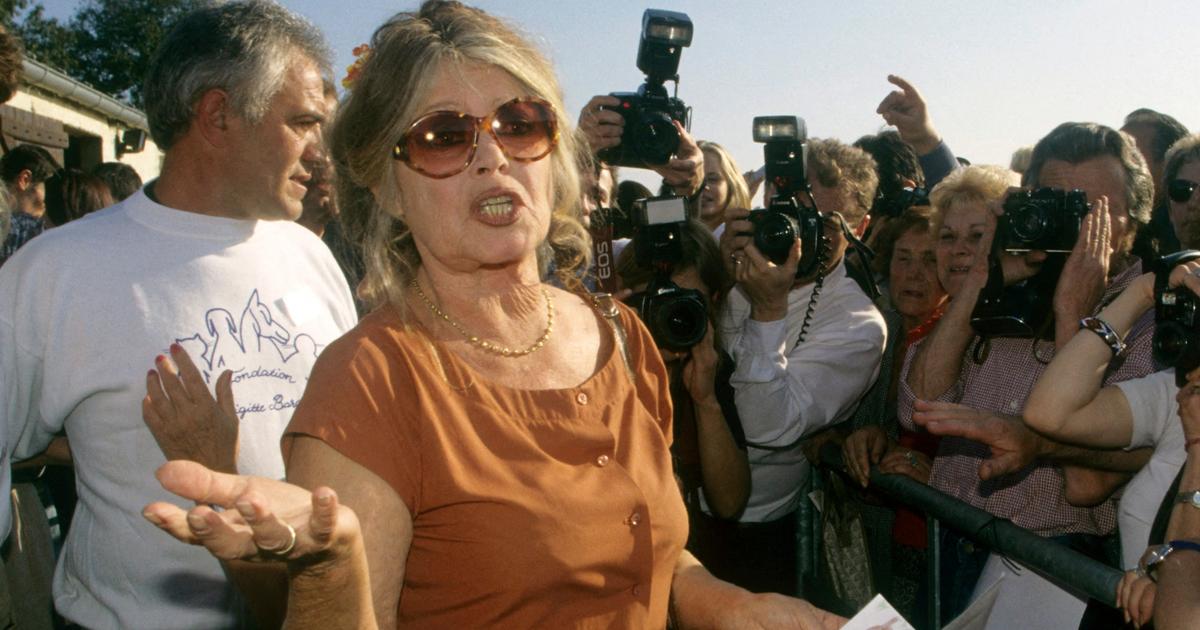 La fondation Brigitte Bardot attaquera les escrocs qui vendent des produits dérivés à l’image de l’actrice