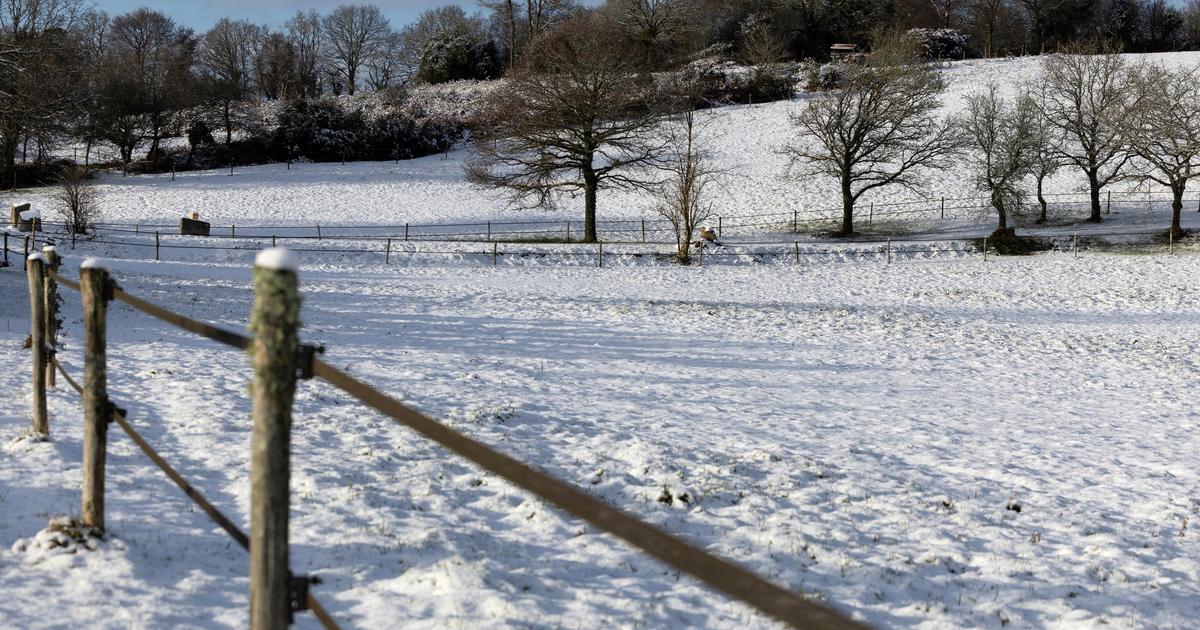De Paris à la Normandie, découvrez les images des fortes chutes de neige en France