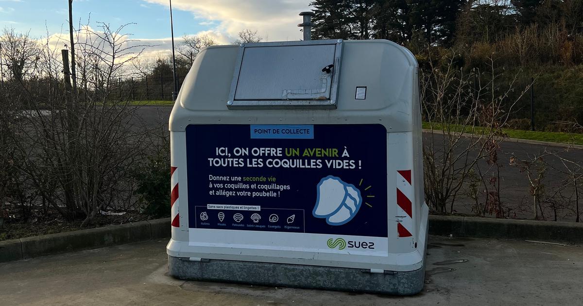 À Pornic, le recyclage plébiscité des coquilles d’huîtres en compost