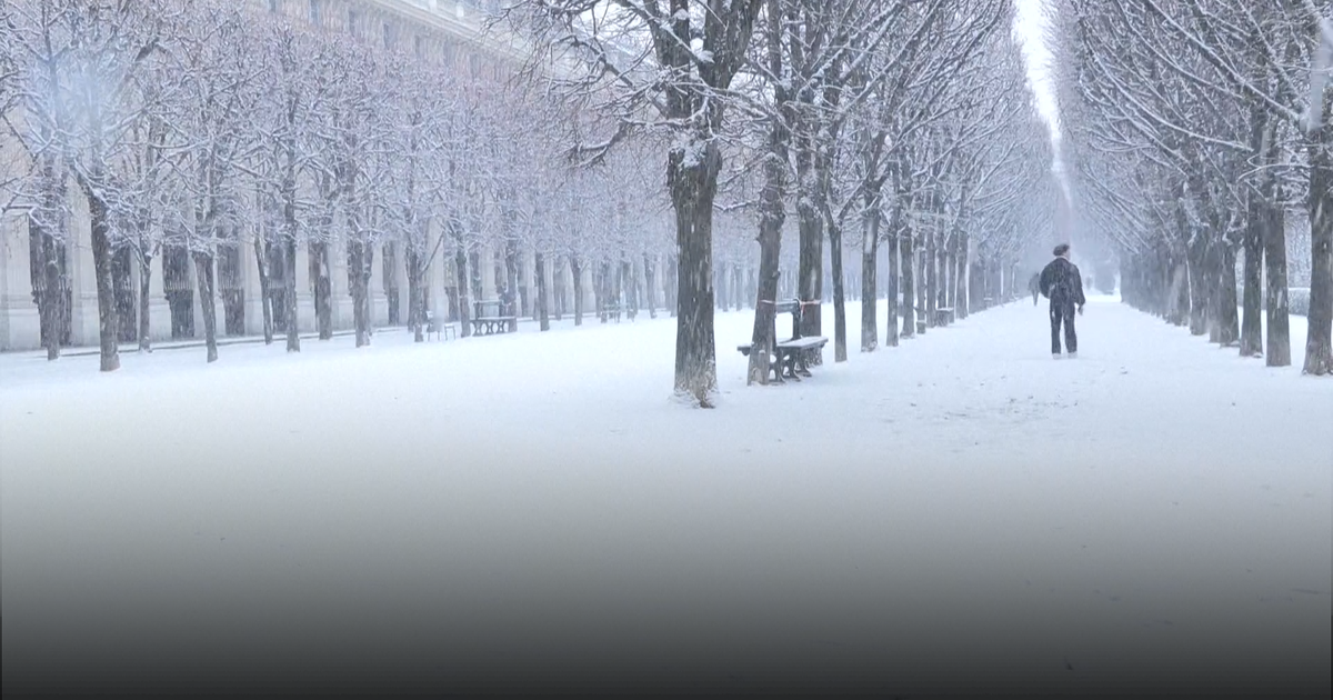 Chutes de neige à Paris : les images de la capitale recouverte de flocons