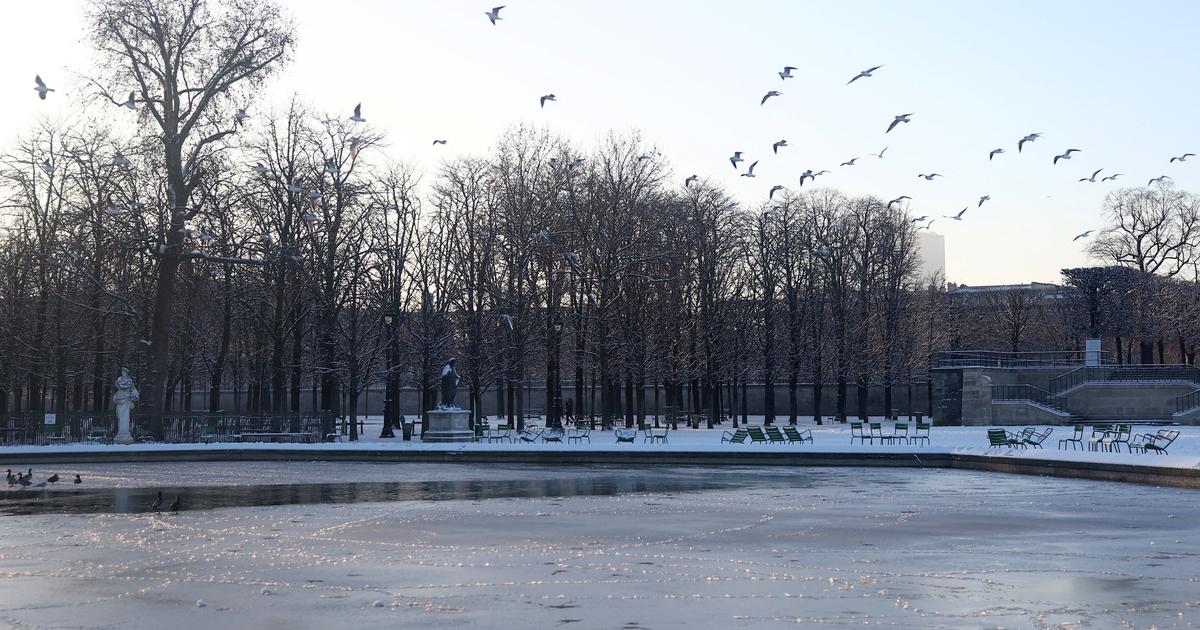 Météo : pourquoi on ne peut pas parler de «vague de froid» en France
