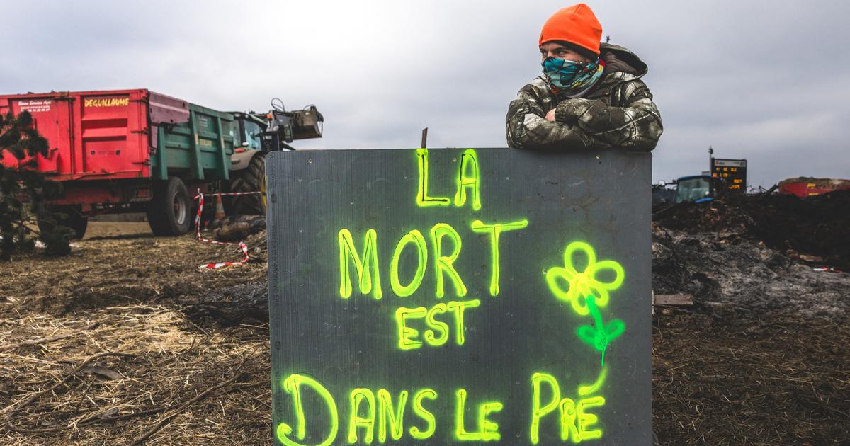 La signature annoncée du traité avec le Mercosur et la neige ne refroidissent pas la mobilisation paysanne