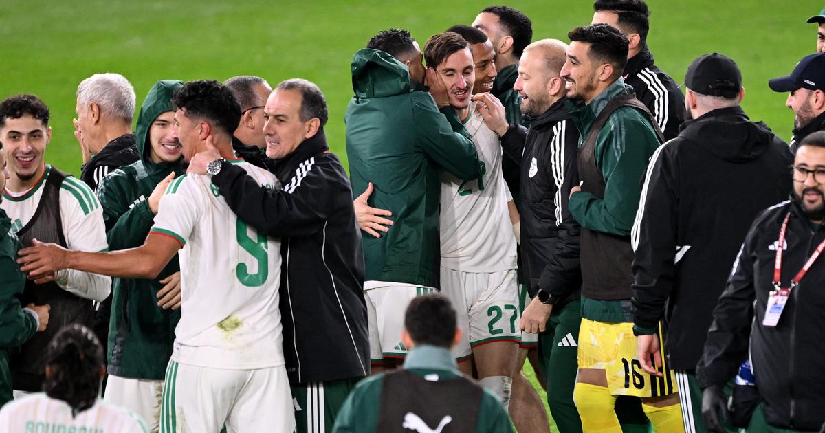 100 Coccinelles En Bois Autocollantes 18x25mm - Déco Naturelle Pour Bricolage, Jardin, Cadeaux