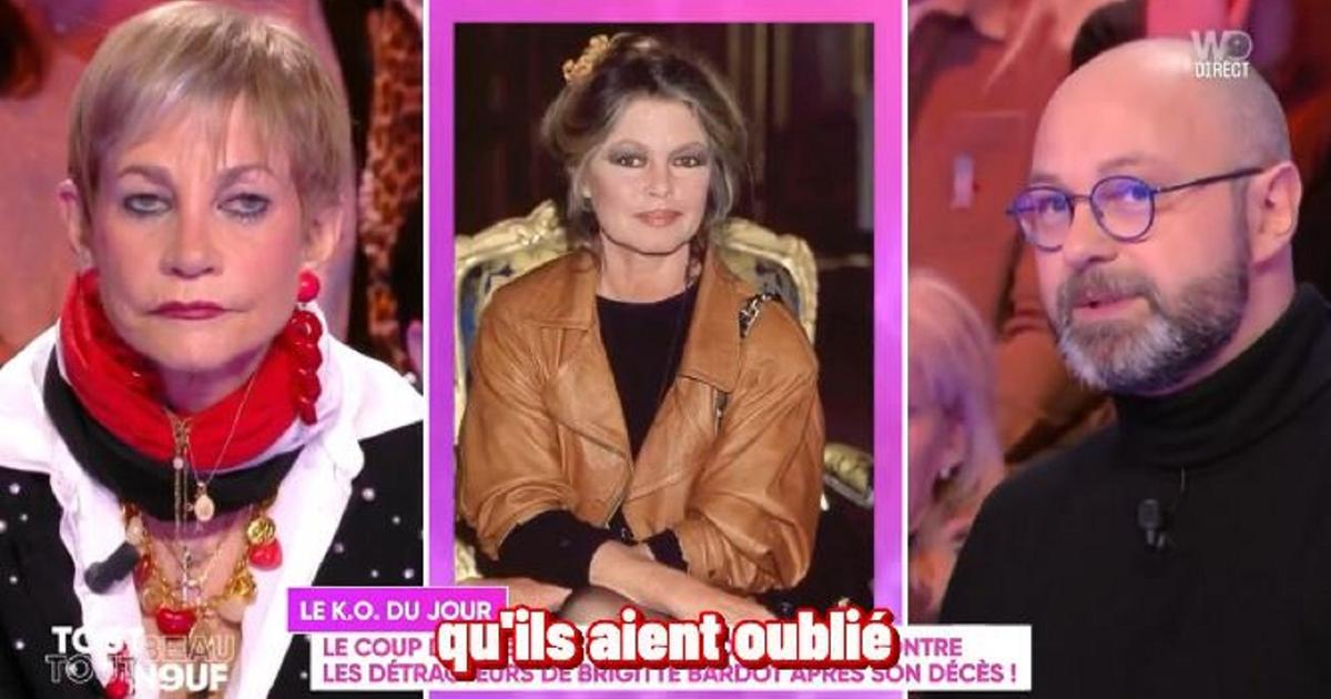 Sur le plateau de «TBT9», un chroniqueur refuse de rendre hommage à Brigitte Bardot