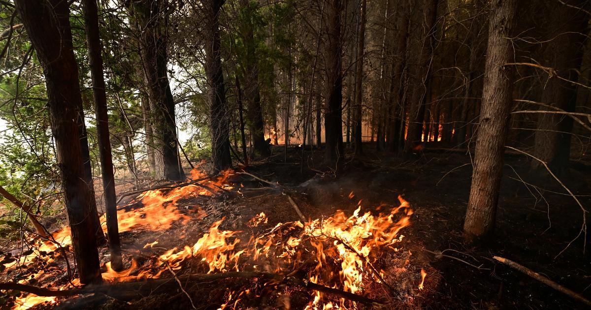 Argentine : 3000 touristes évacués après de multiples incendies en Patagonie