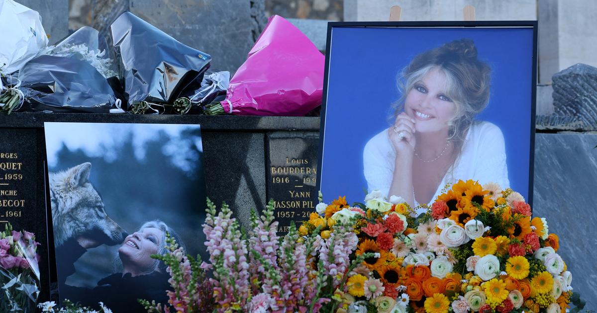 Dernier hommage à Brigitte Bardot à Saint-Tropez : elle repose face à la mer dans un cercueil en osier