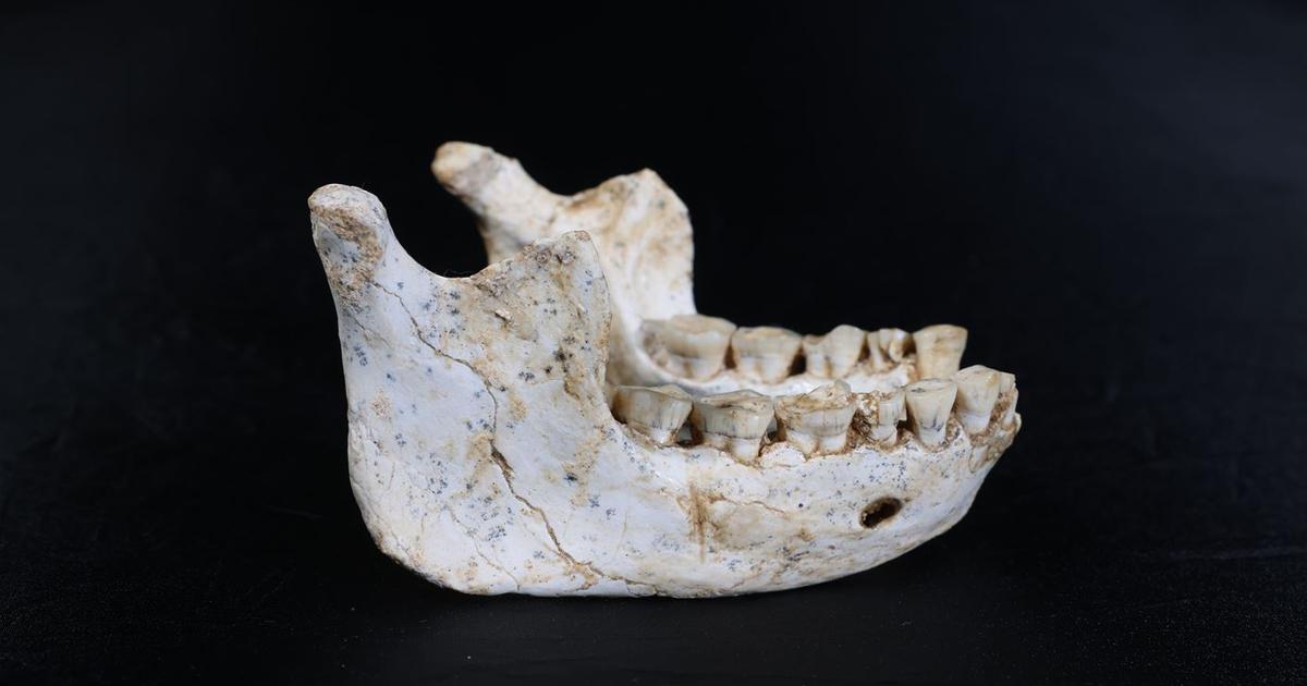 Un mystérieux ancêtre des hommes modernes et de Neandertal découvert au Maroc