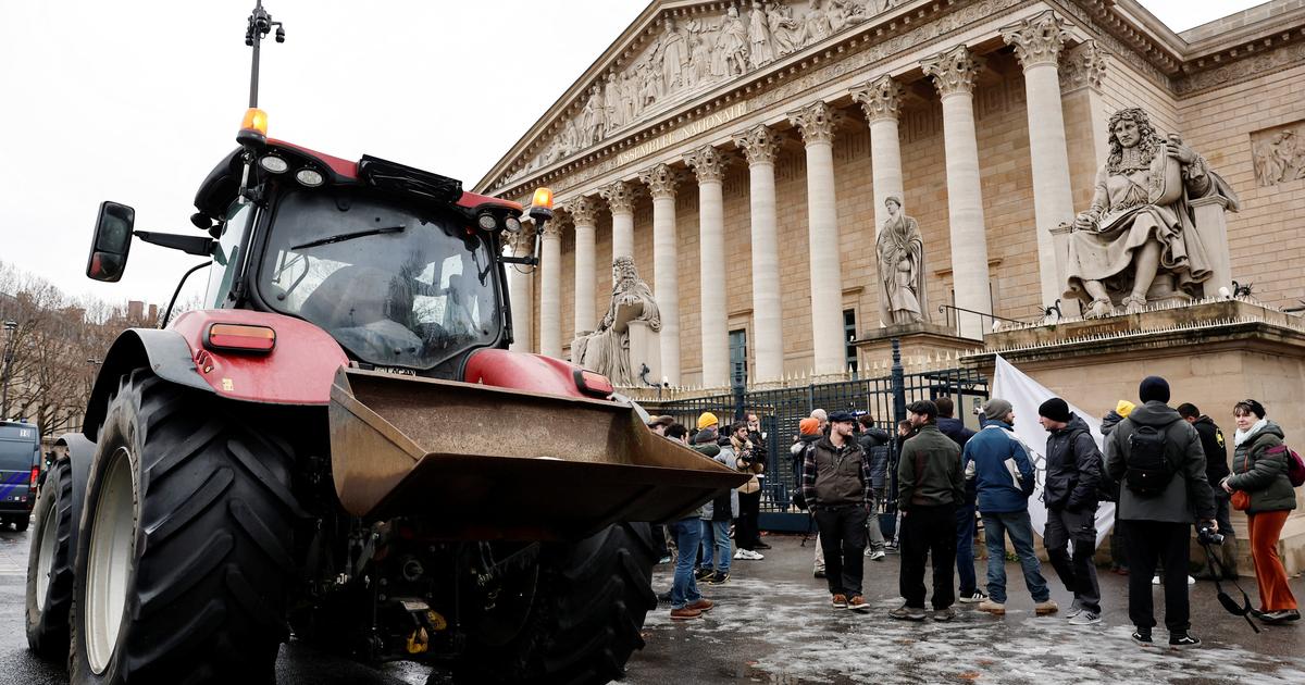 Les agriculteurs de la Coordination rurale prêts à rester à Paris «tant qu’il le faudra»