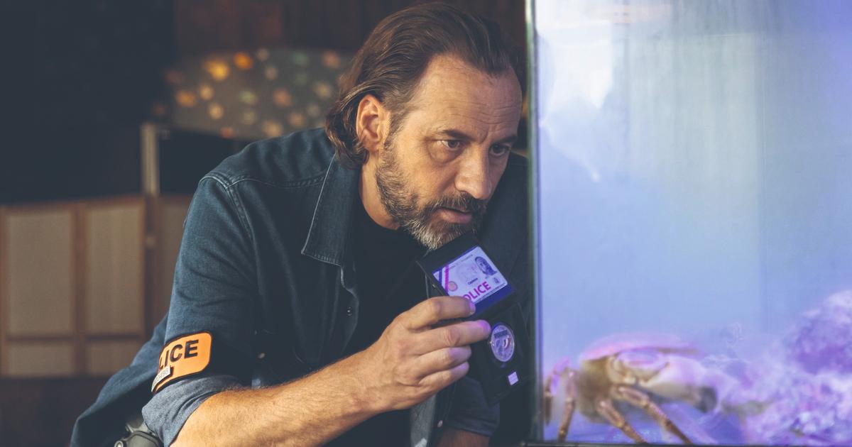 Fred Testot, héros de Bêtes de flic sur France 2 : «À Paris, je parle aux mulots !»