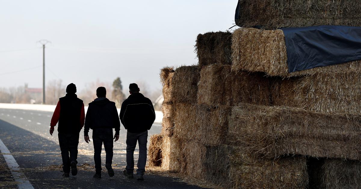 Les 300 millions d’euros de nouvelles aides aux agriculteurs ne rentreront en vigueur «qu’en cas d’adoption du budget par le Parlement», martèle Sébastien Lecornu