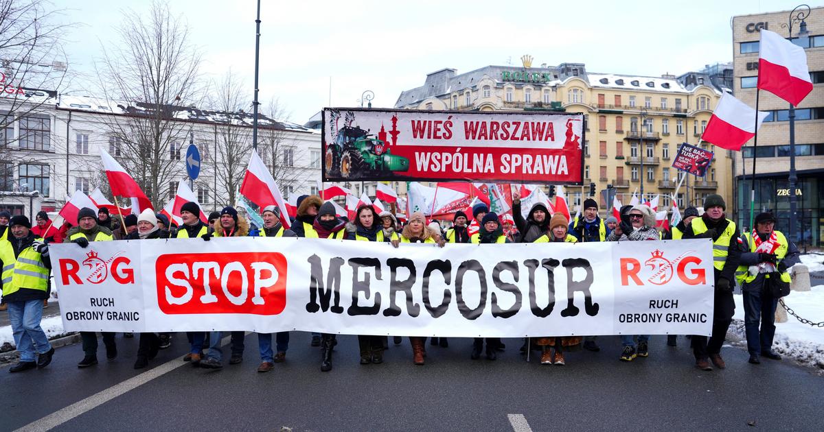 Mercosur : pourquoi l’application du traité de libre-échange pourrait être retardée de plusieurs mois