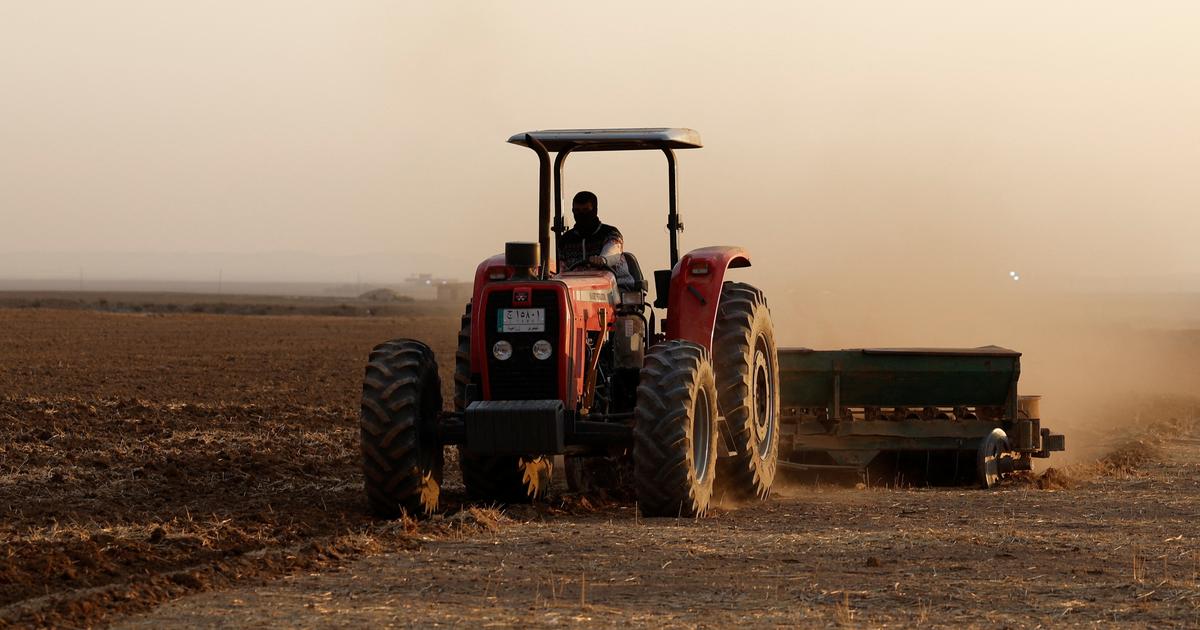 «J’ai été négligent» : à Marseille, la délicate défense des agriculteurs jugés pour trafic de pesticides